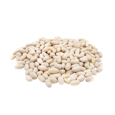 White Kidney Bean, IN BULK organic